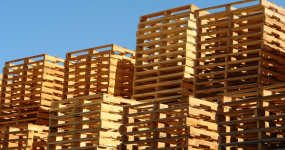 Palletization & Fumigation