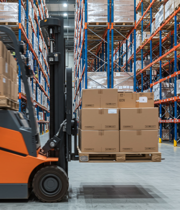 Palletization and Fumigation Services by Swastik Worldwide Logistics